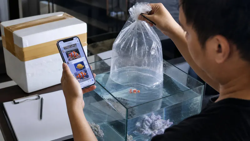 ภาพประกอบบทความ สั่งซื้อปลา-ปะการังออนไลน์ในไทยให้รอด: คู่มือผู้ซื้อ