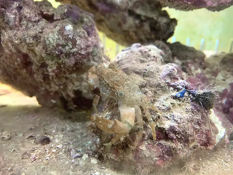 ภาพประกอบบทความ DIY จัดหิน (Aquascape): ออกแบบและยึดหินเป็นให้สวยปลอดภัย