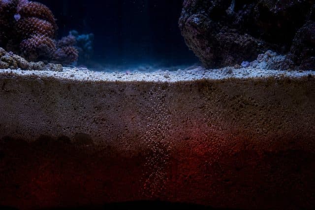 ภาพประกอบบทความ ชั้นลึกช่วยลด NO3 แต่ก็มีความเสี่ยง: H2S และ Old Tank Syndrome (ตอนที่ 6)