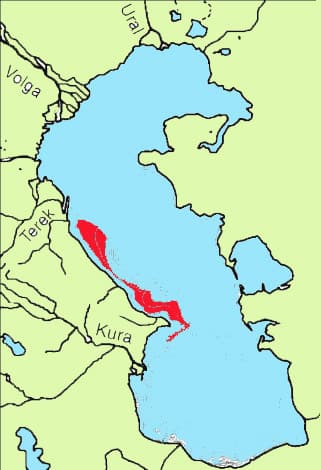 แผนที่การกระจายพันธุ์ของ ปลาบู่ leptorhynchus (Benthophilus leptorhynchus)