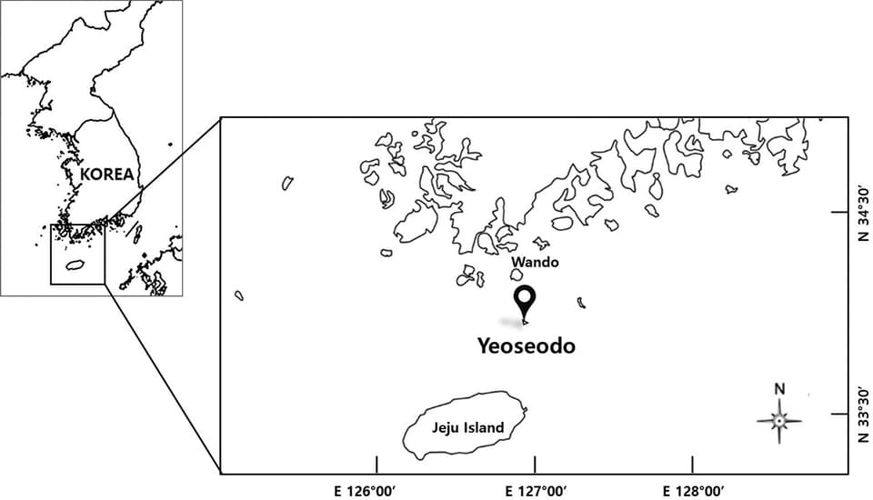 ภาพประกอบของ ปลา wandoensis (Eptatretus wandoensis)