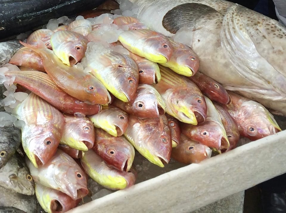 ภาพประกอบของ ปลา japonicus (Nemipterus japonicus)