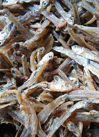 ภาพ ปลา oligobranchus (Encrasicholina oligobranchus)
