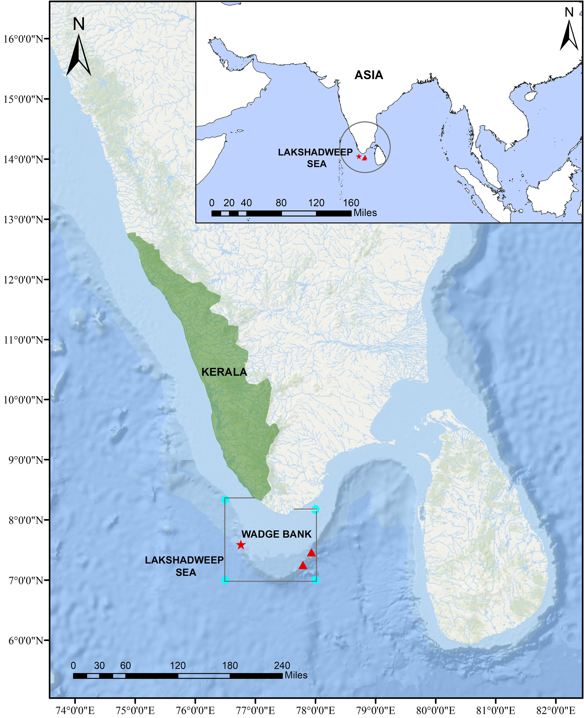 ภาพ ปลา wadgensis (Eptatretus wadgensis)