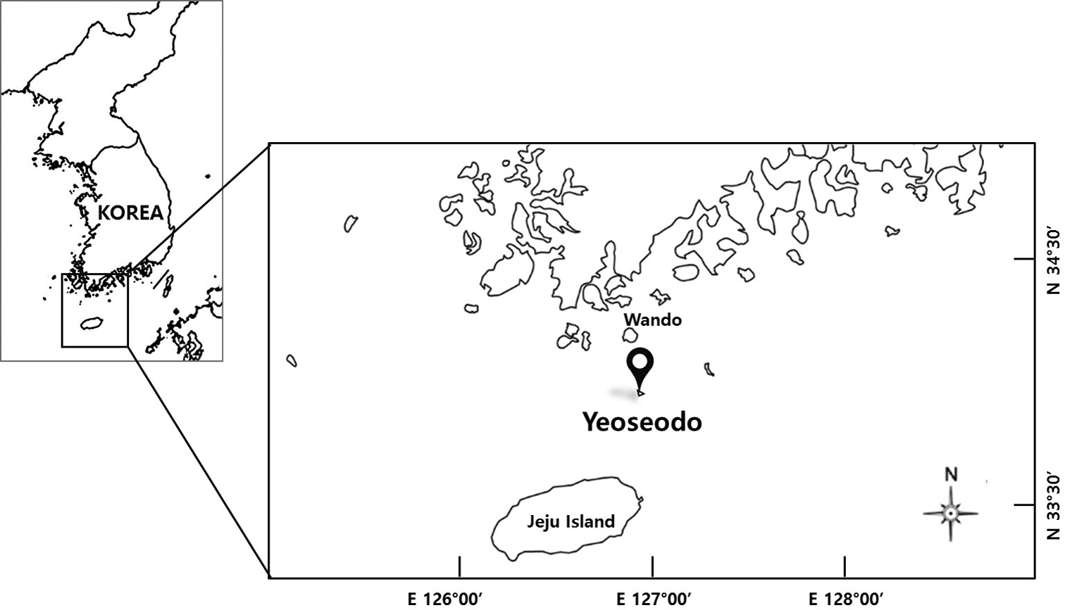 ภาพ ปลา wandoensis (Eptatretus wandoensis)