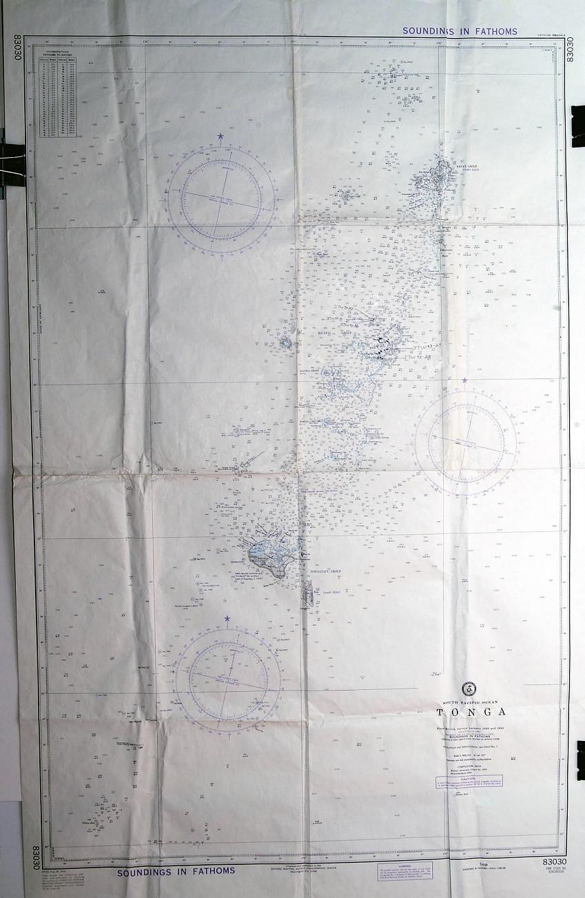 ภาพ ปลาบู่จิ๋ว lacrimae (Eviota lacrimae)