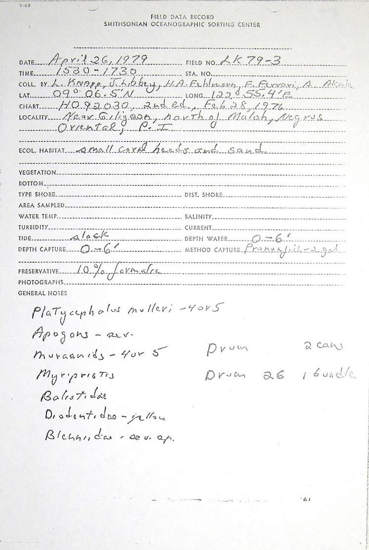 ภาพ ปลาบู่บู่ (Gobiopsis bravoi)