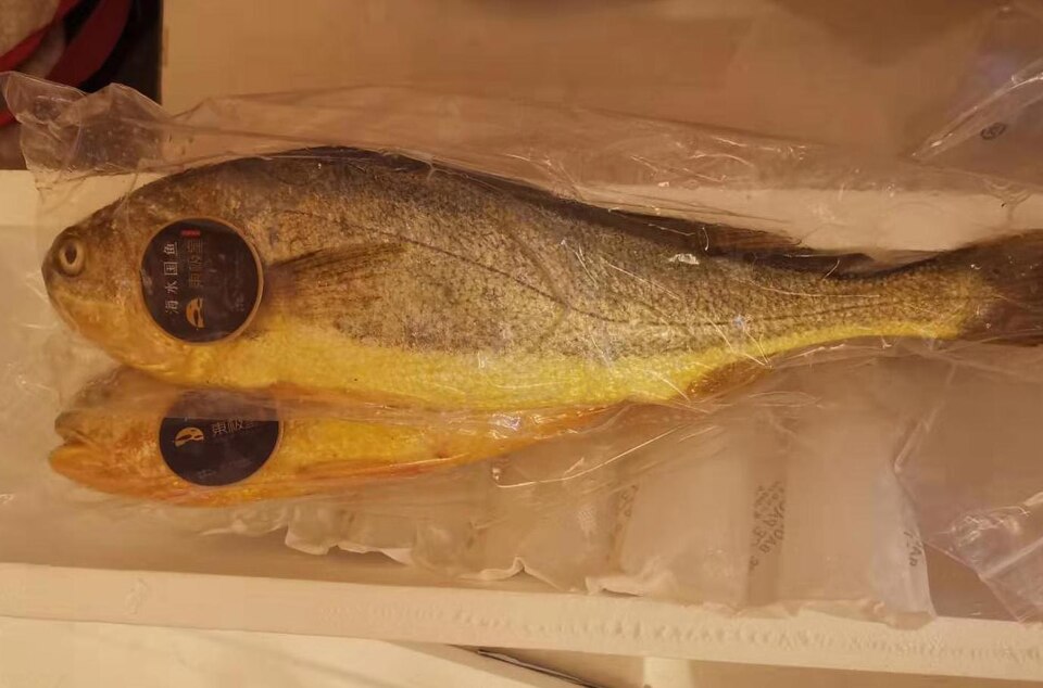 ภาพ ปลาจวด crocea (Larimichthys crocea)