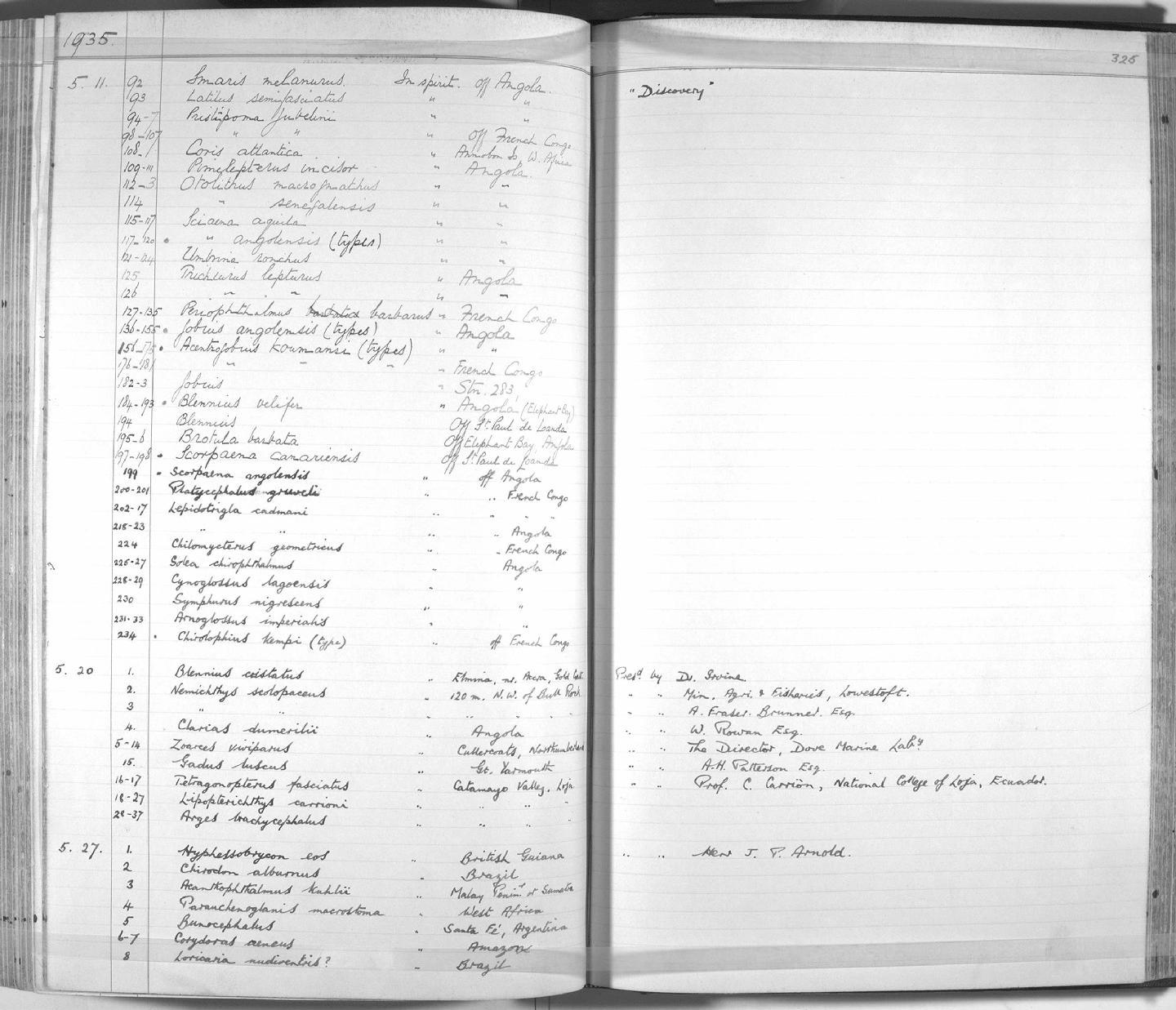 ภาพ ปลาบู่ koumansi (Lesueurigobius koumansi)