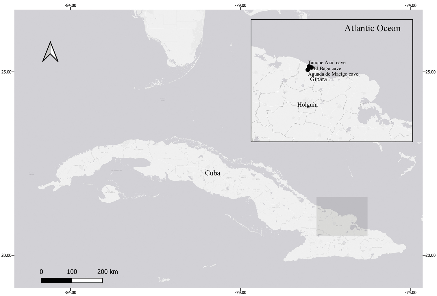 ภาพ ปลา gibarensis (Lucifuga gibarensis)