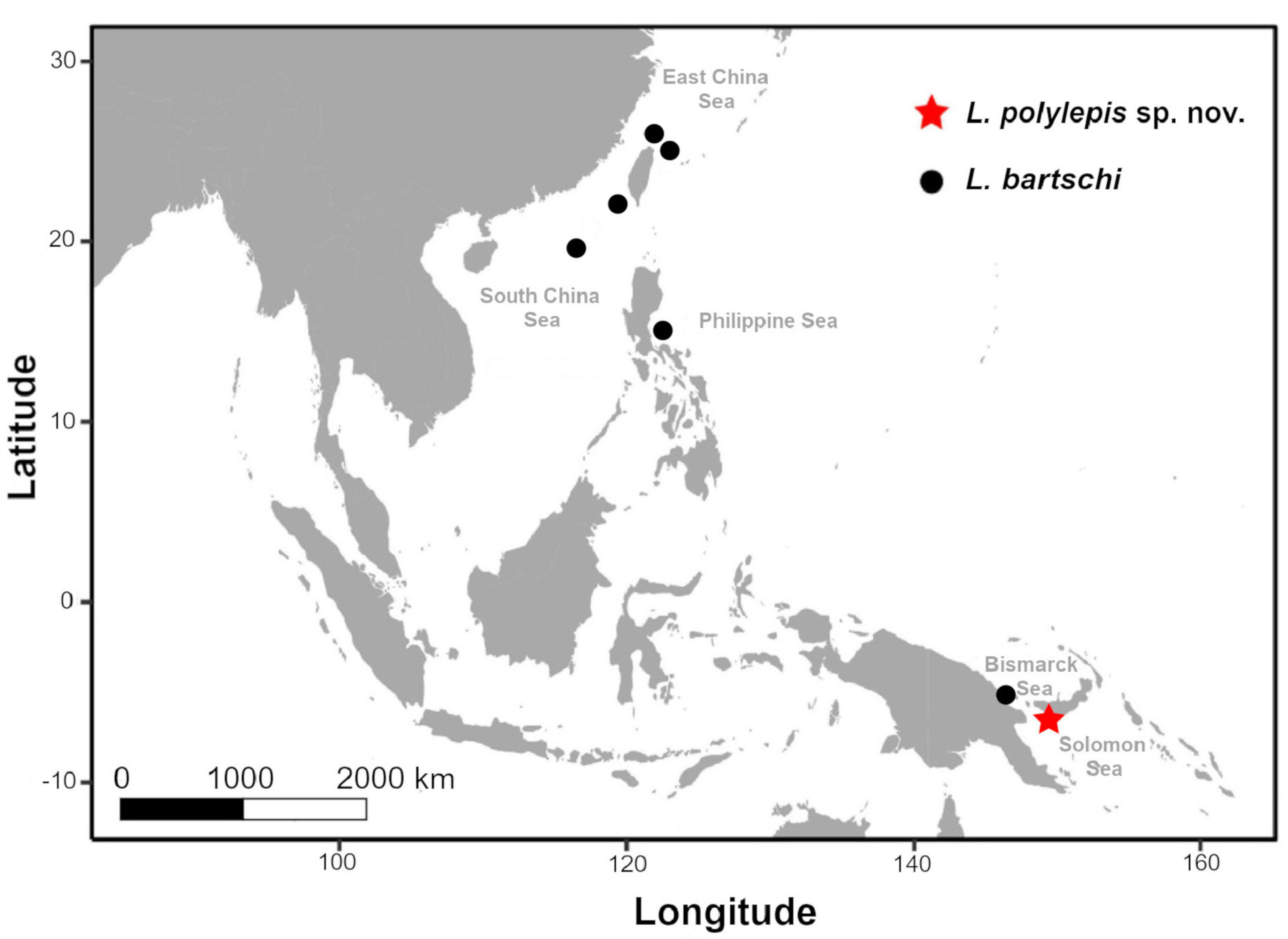 ภาพ ปลา polylepis (Luciobrotula polylepis)