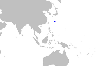 ภาพ ปลา sheikoi (Miroscyllium sheikoi)