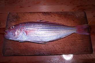 ภาพ ปลา virgatus (Nemipterus virgatus)