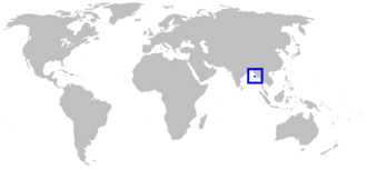 ภาพ ปลา magnificum (Proscyllium magnificum)