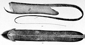 ภาพ ปลา ampullaceus (Saccopharynx ampullaceus)