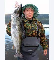 ภาพ ปลา drjagini (Salvelinus drjagini)