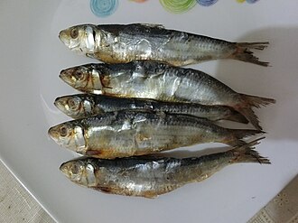 ภาพ ปลา fimbriata (Sardinella fimbriata)